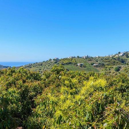 Villa Javier De Frigiliana By Ruralidays Екстер'єр фото